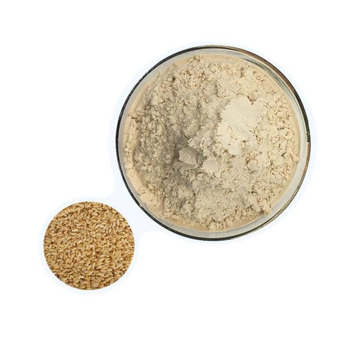 Brown Rice Protein Powder