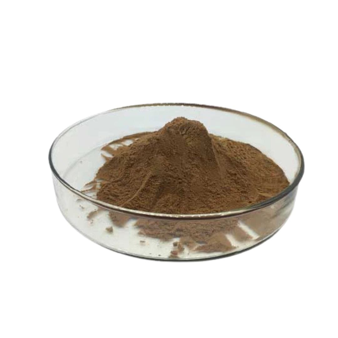 Kola Nut Extract Powder