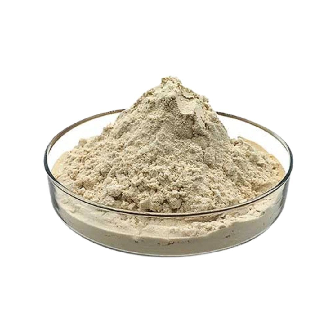 Rice Bran Protein
